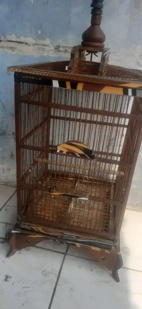 Kandang kecil bks kenari