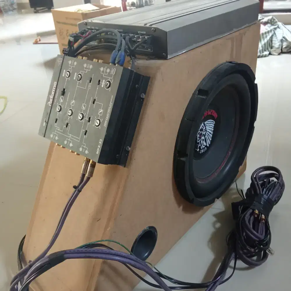 Sound horeg mania