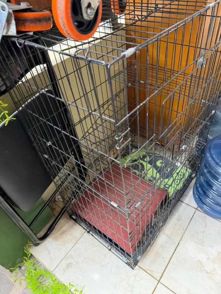 Kandang kucing tingkat