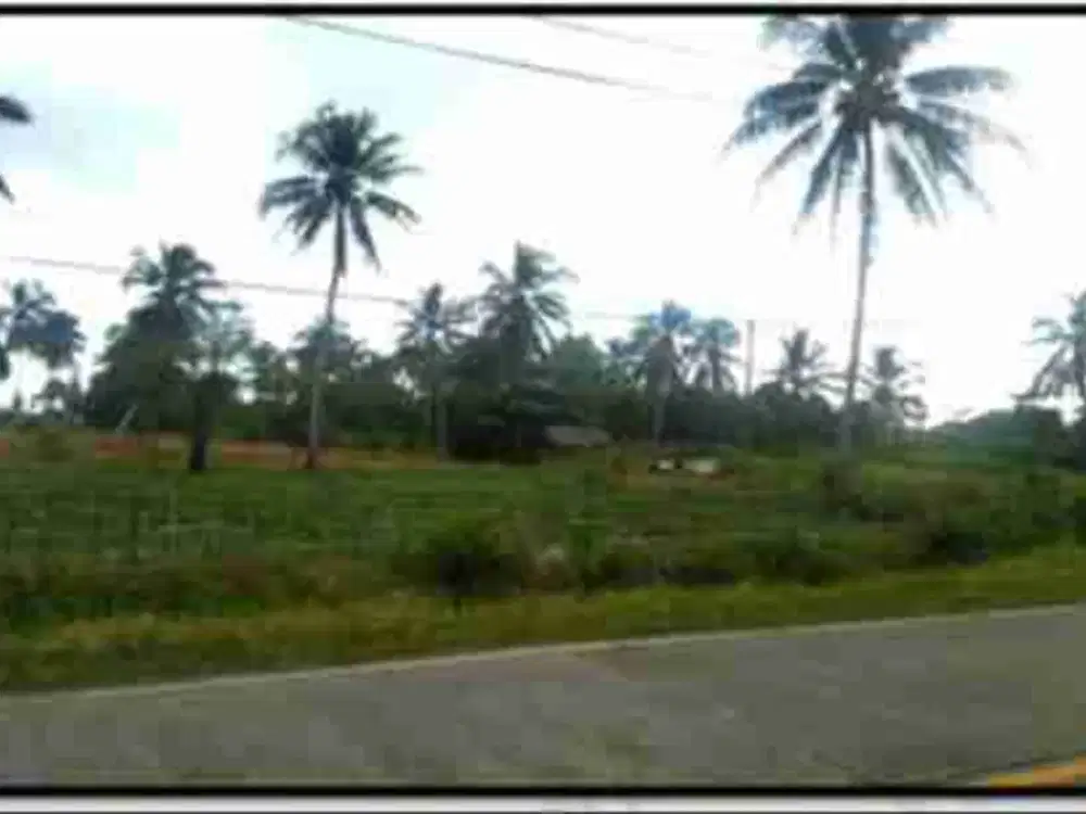 Tanah Labuan Panimbang Pandeglang 1 Hektar