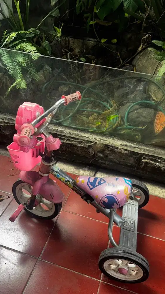 Sepeda Anak KeciL