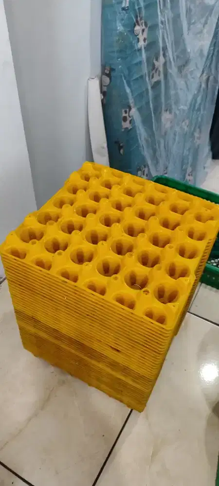 Tray Plastik Telur