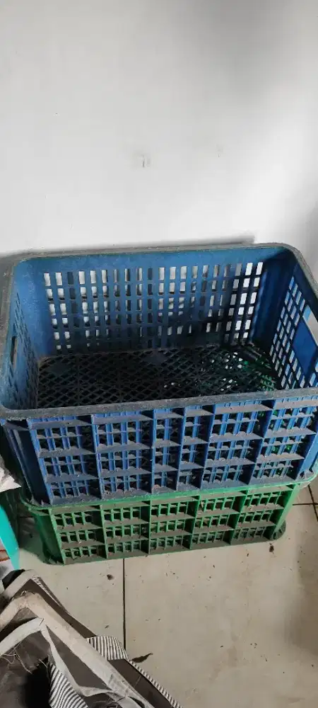 Kontainer box plastik