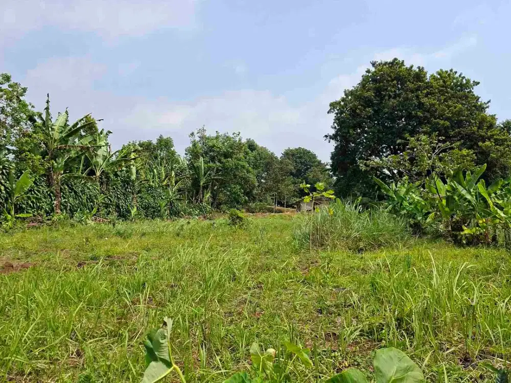 DI JUAL TANAH DARAT SANGAT COCOK UNTUK PERTANIAN PERKEBUNAN DAN PETERNAKAN AYAM PETELUR.LOKASI DATAR VIEW GUNUNG .AKES JLN MOBIL SAMPAI KE LOKASI