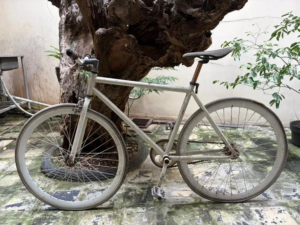 Sepeda Fixie / Fix Gear