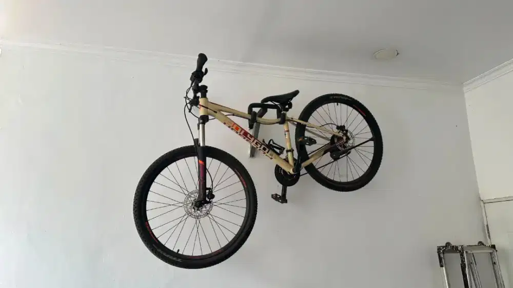 Polygon premier 4 2020 dan Polygon cleo 2.0