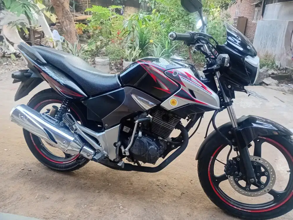 Tiger revo 2013