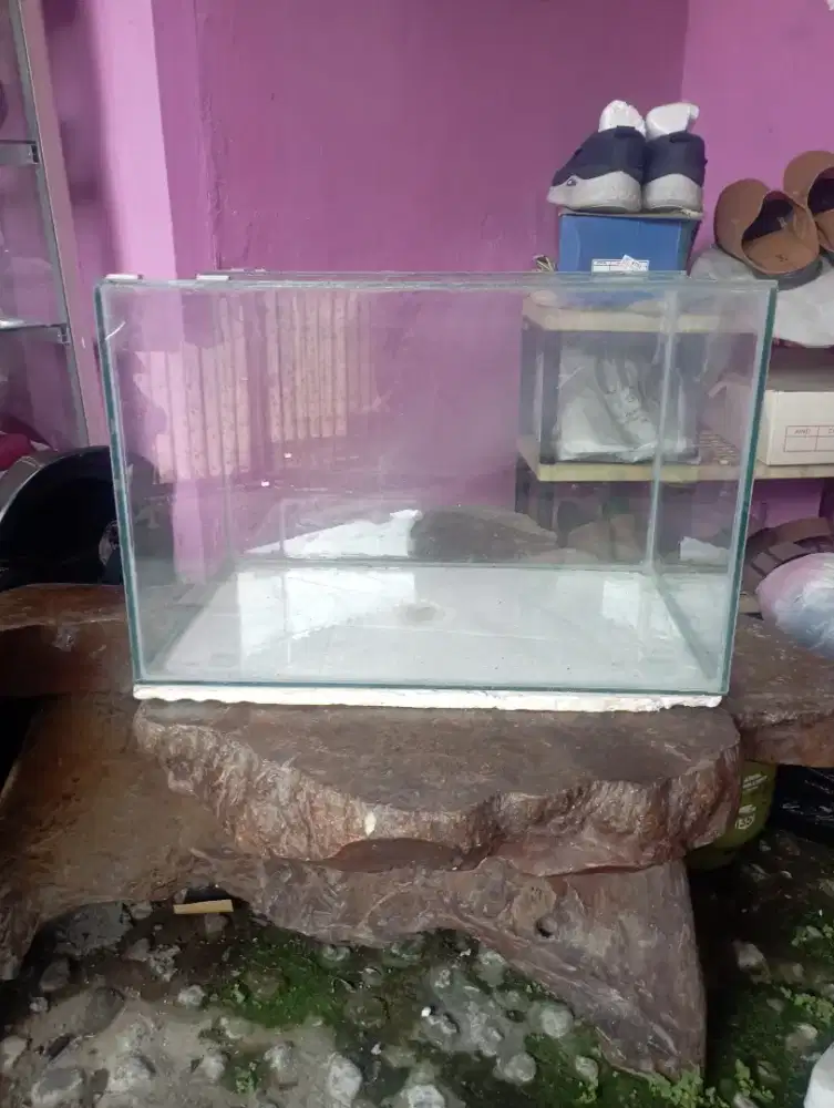 Jual Aquarium Sedang