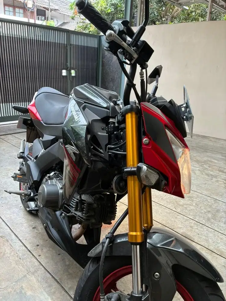 Kawasaki Z125 Special Edition