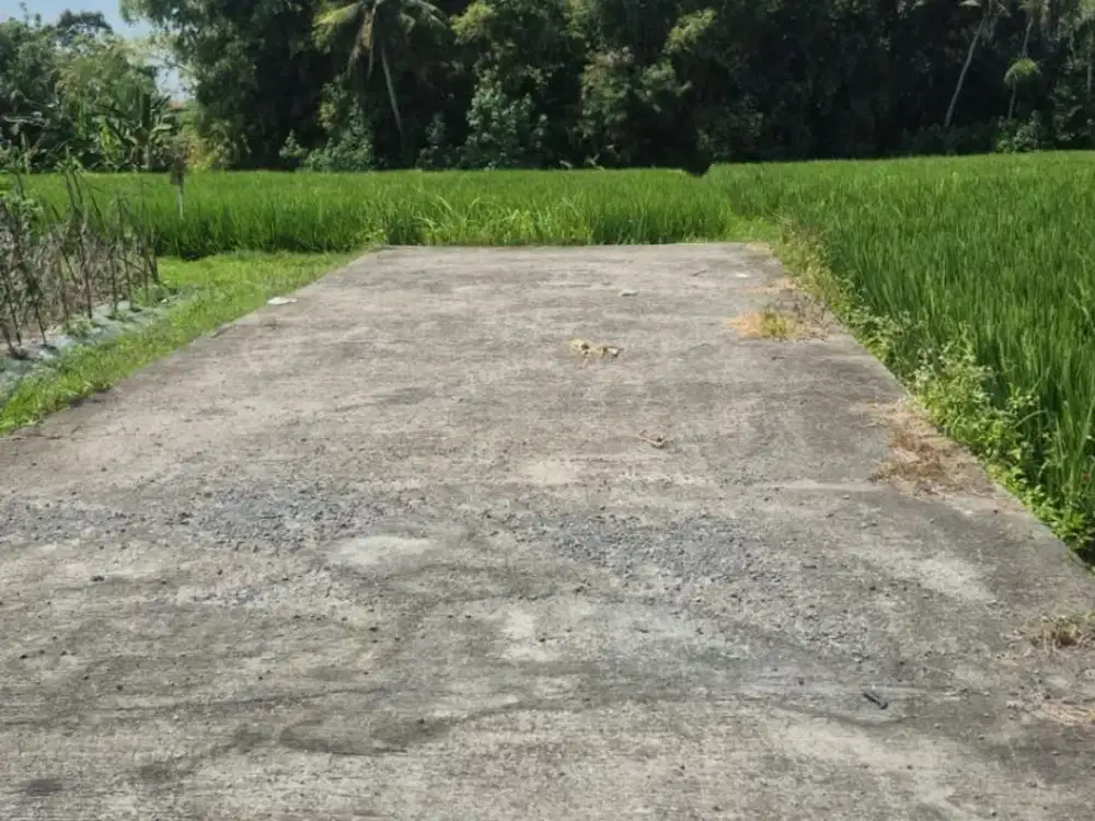 Land For sale pantai kedungu dekat ke tanah lot