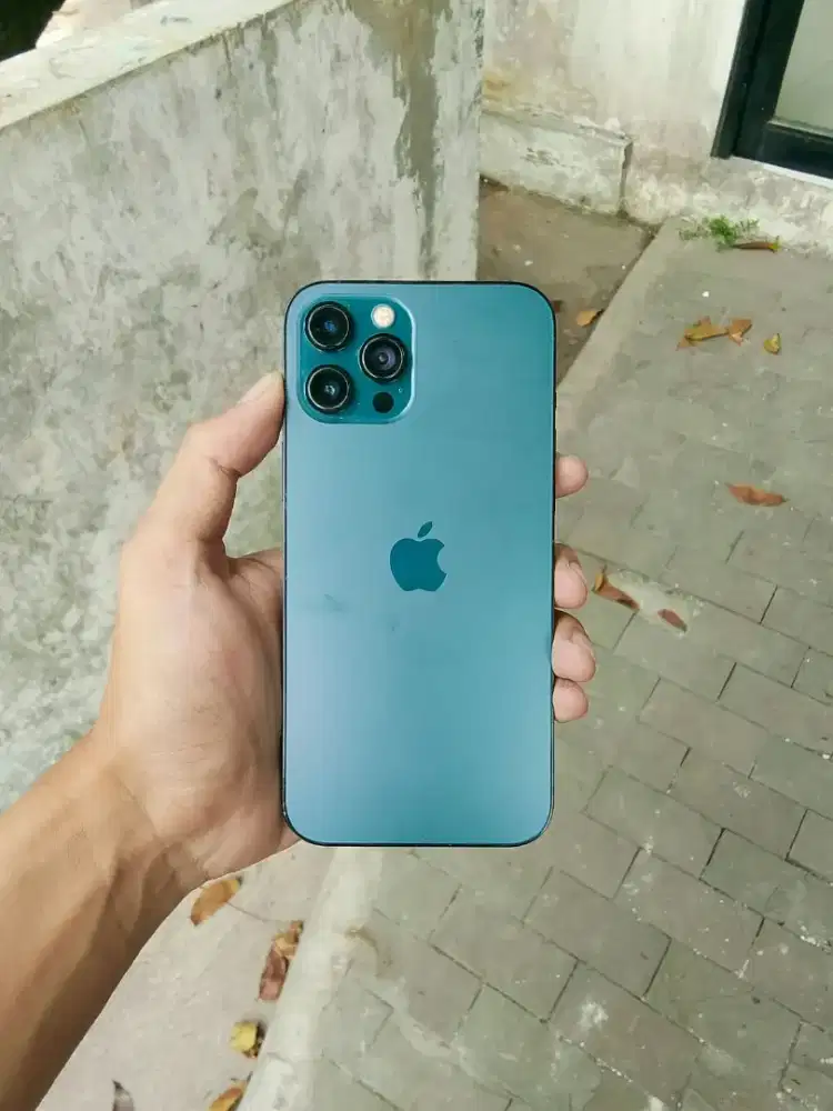 JUAL CEPET IPHONE 12 PRO MAX 256GB