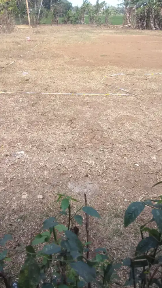 Dijual Tanah Tanpa Perantara