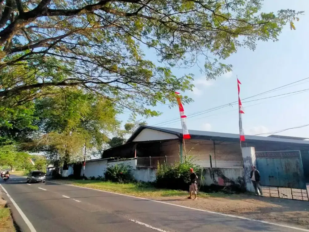 DIJUAL GUDANG STRATEGIS ALASMALANG-BANYUWANGI