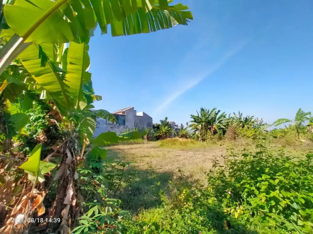 DIJUAL TANAH STRATEGIS PUSAT KOTA. SOBO-BANYUWANGI