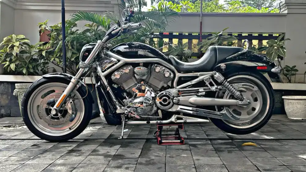 Dijual Harley Davidson VROD (langka)