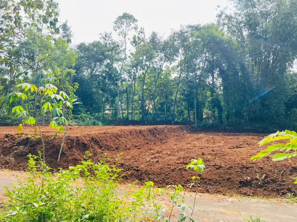 Tanah Datar Mojogedang, Karanganyar, Dekat Fasilitas Umum