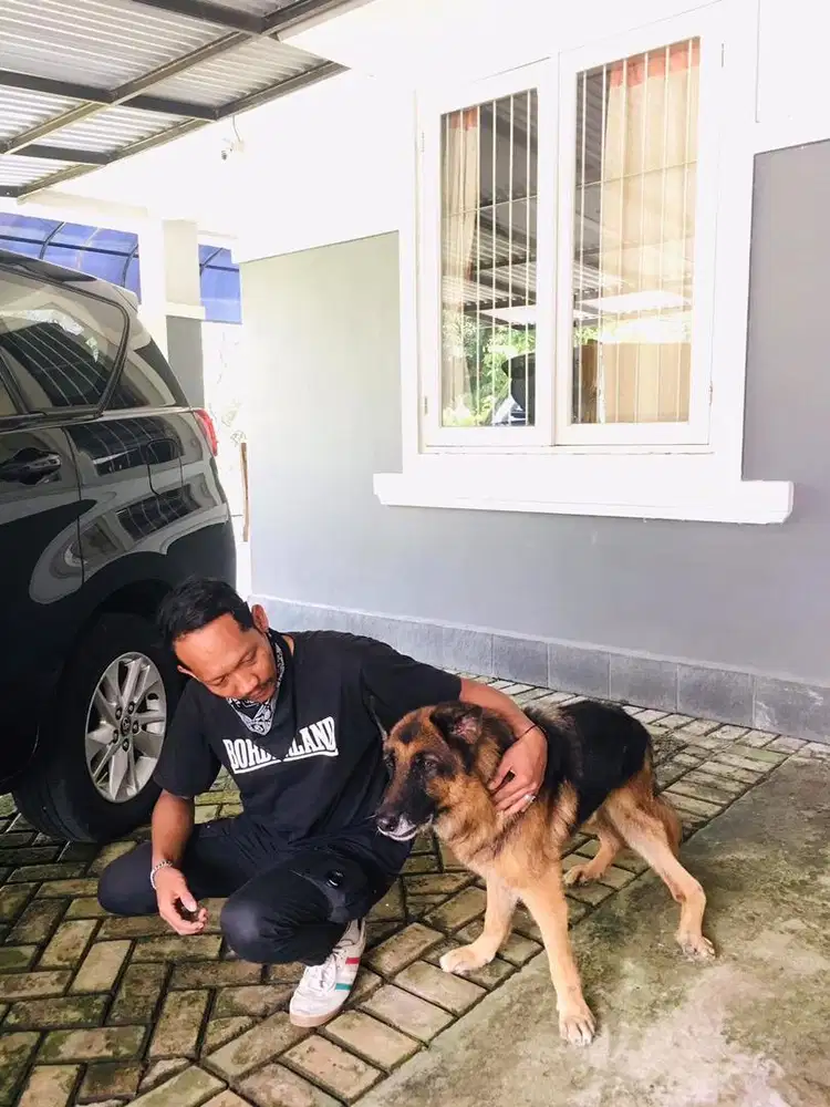 jasa grooming panggilan