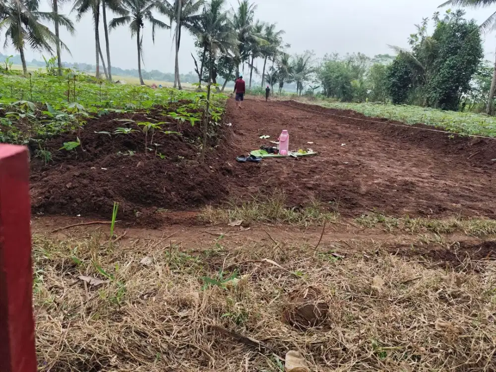 Tanah Sindang Jaya SHM 70Jtan - 10 Menit Suvarna Sutera - Bisa Cicil 30 Kali Tanpa Bunga