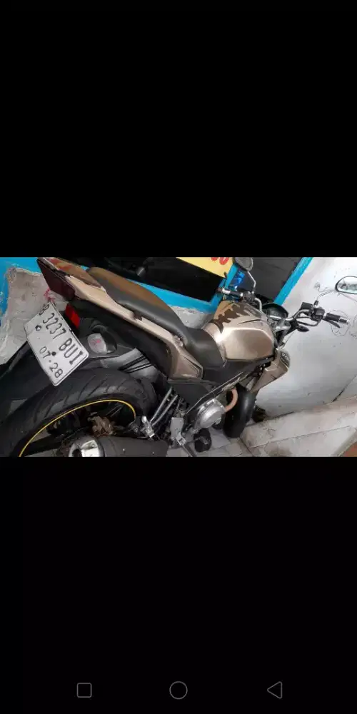 kuda rawatan di urus rapih !