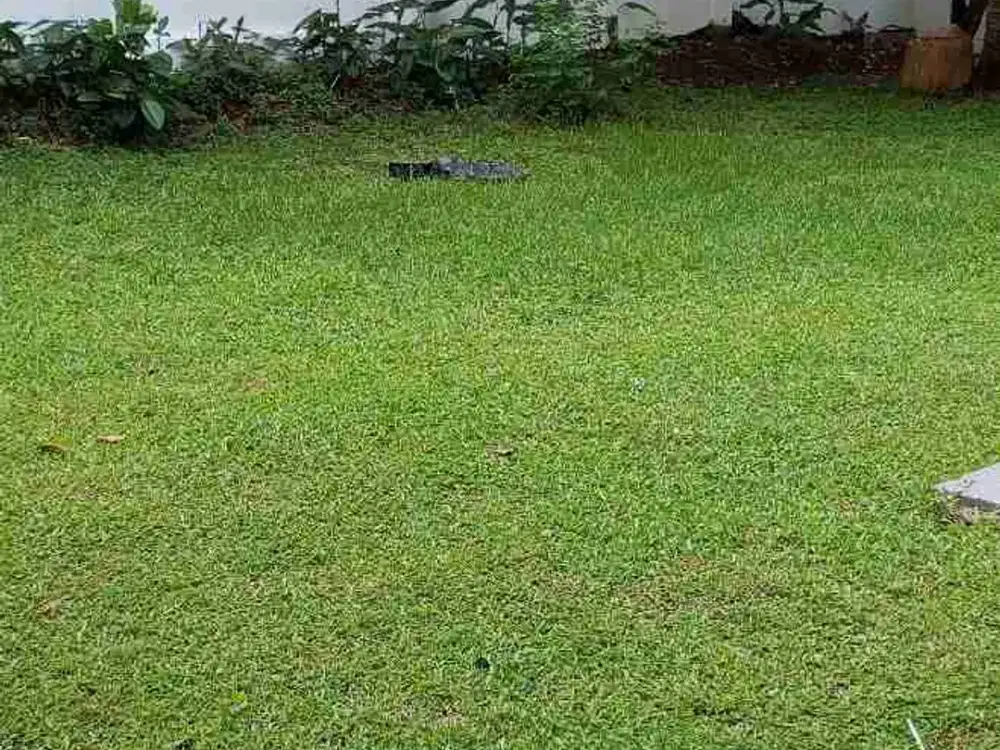 dijual tanah kemang selatan jakarta selatan
