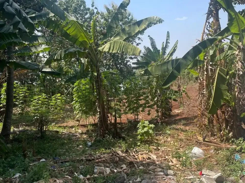 Dijual Tanah Luas 6.724 Lokasi di Jl. Raya Kedungpane Ngaliyan Semarang