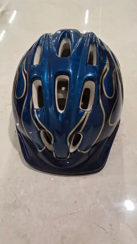 Helm Sepeda Anak Schwinn Blue Flame Motif