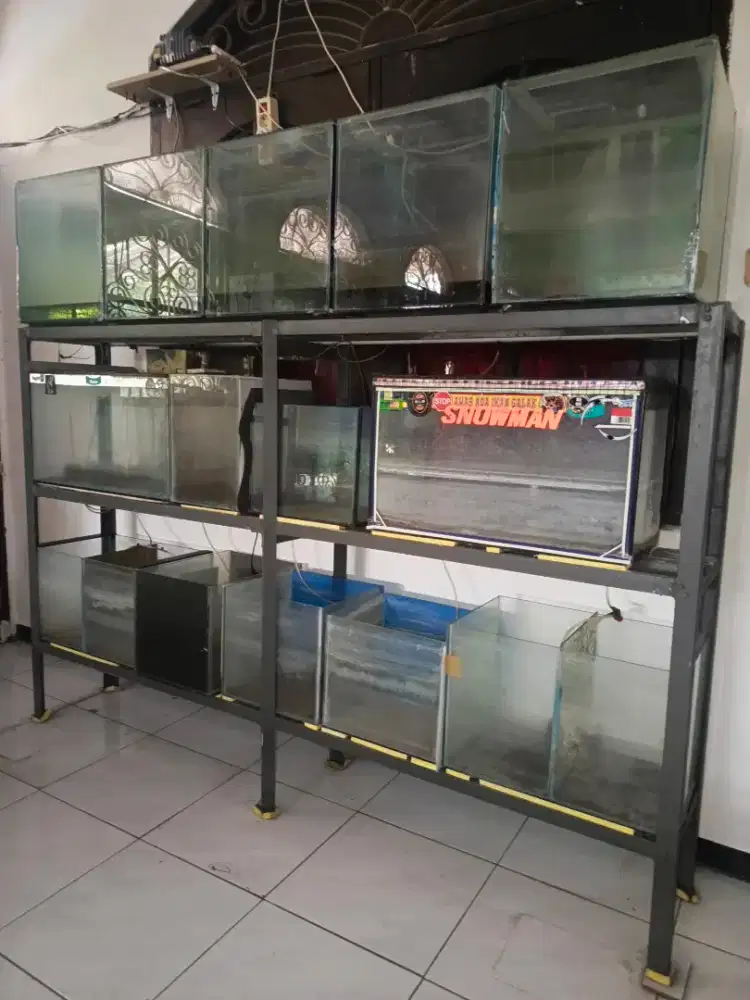 Akuarium set untuk mulai usaha ikan hias