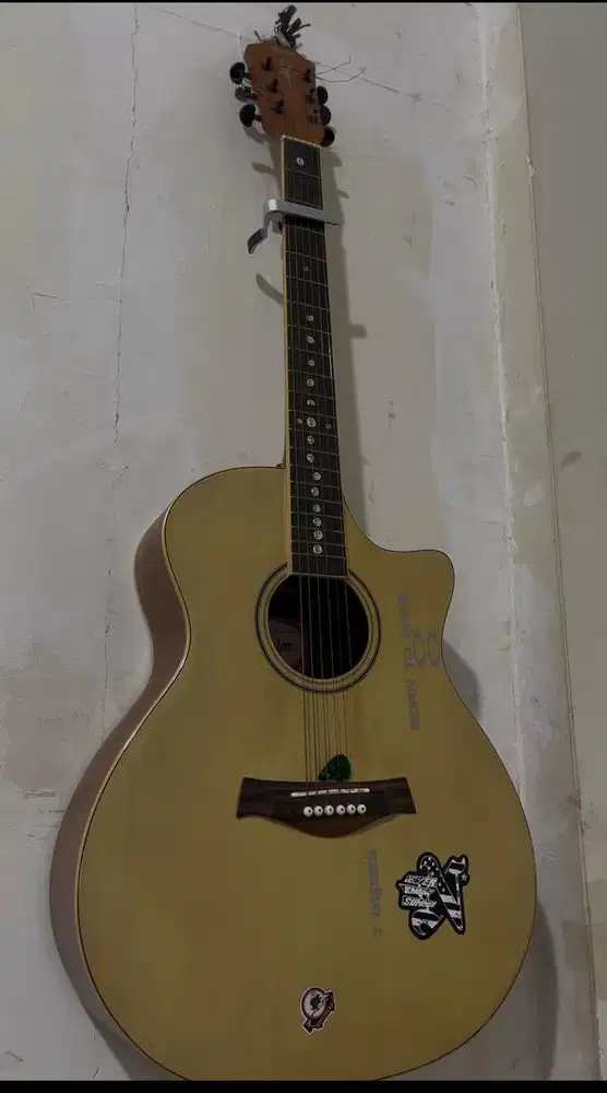 Gitar Taylor mulus