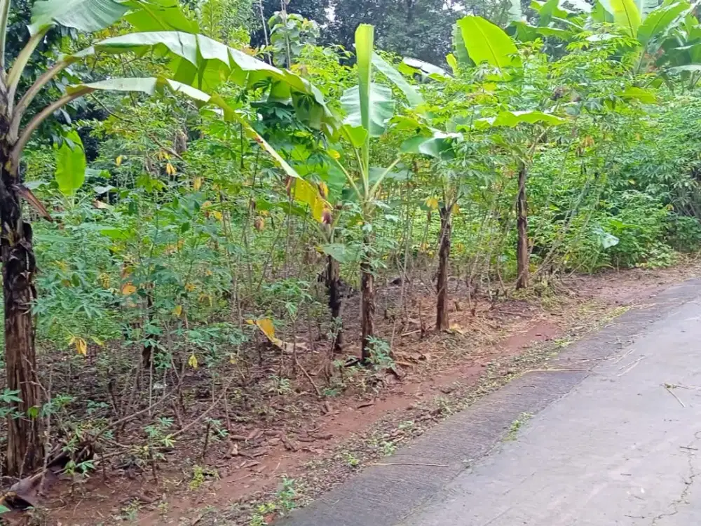 Tanah Murah 185rb/m Kebakkramat Karanganyar