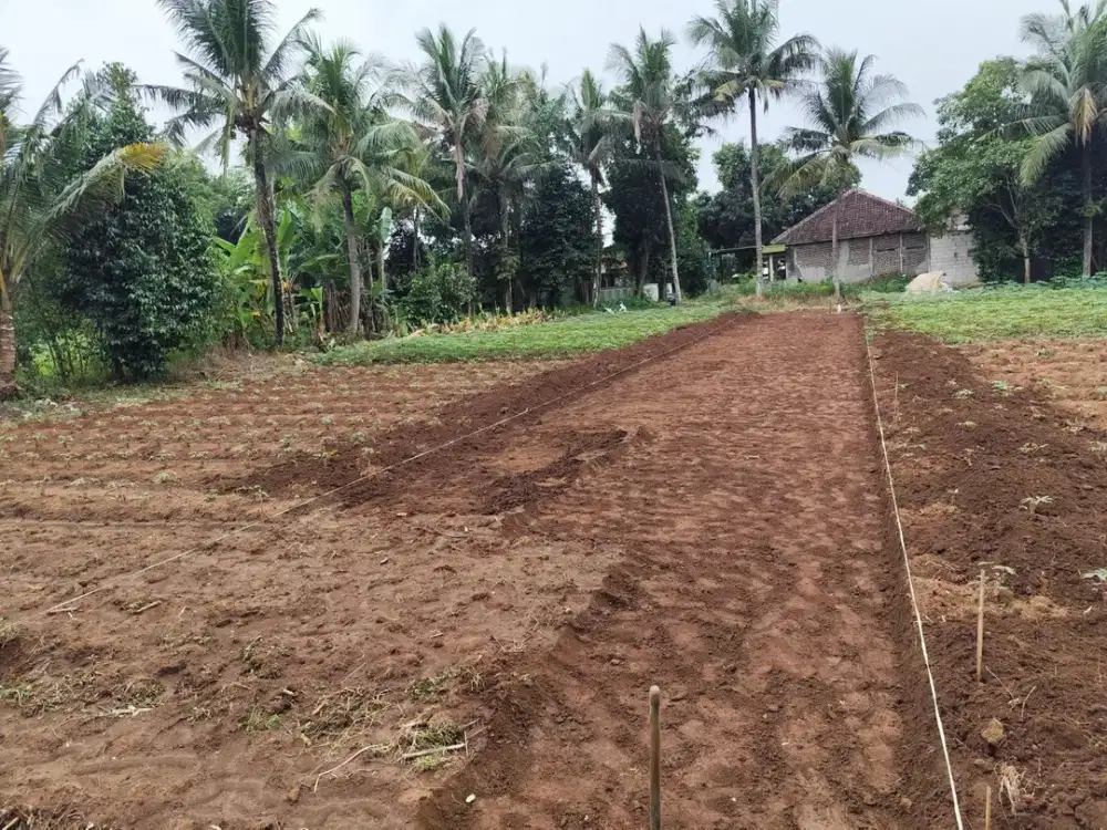 Tanah SHM 70Jtan di Sindang Jaya - 10 Menit Suvarna Sutera - Bisa Cicil 30 Kali Tanpa Bunga