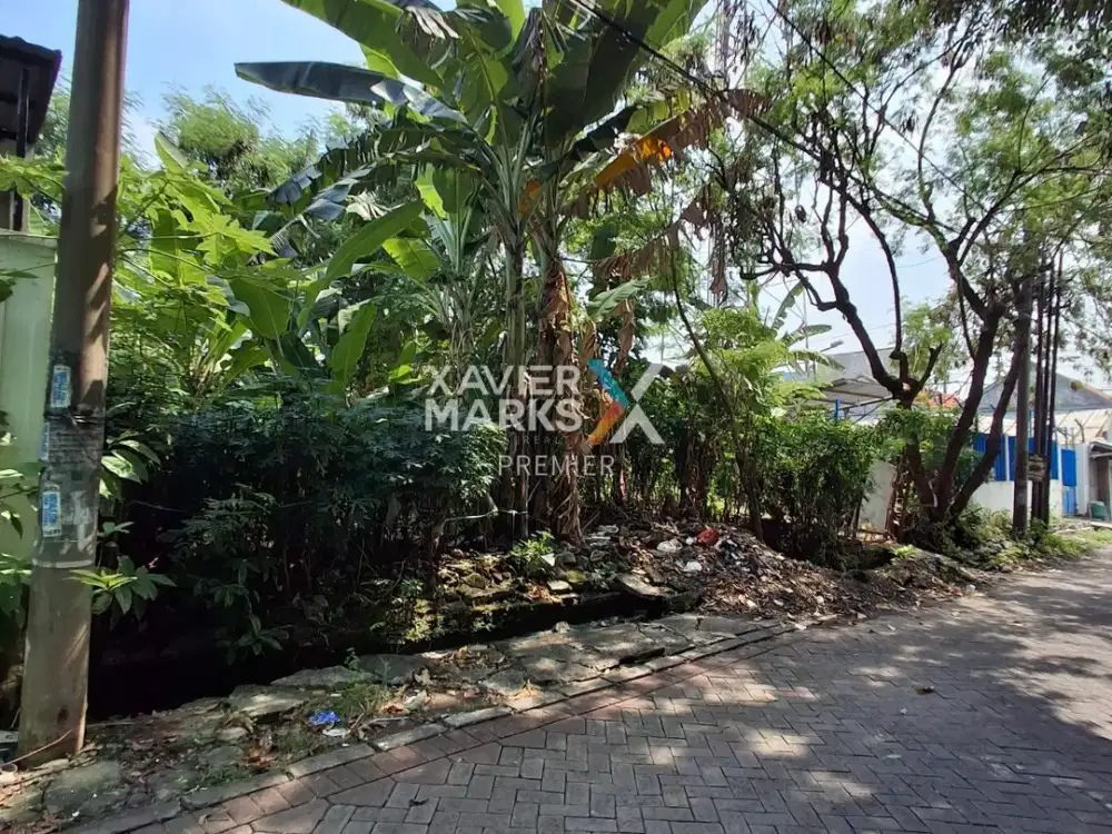 Dijual Tanah Kavling di Lontar Sambikerep Surabaya