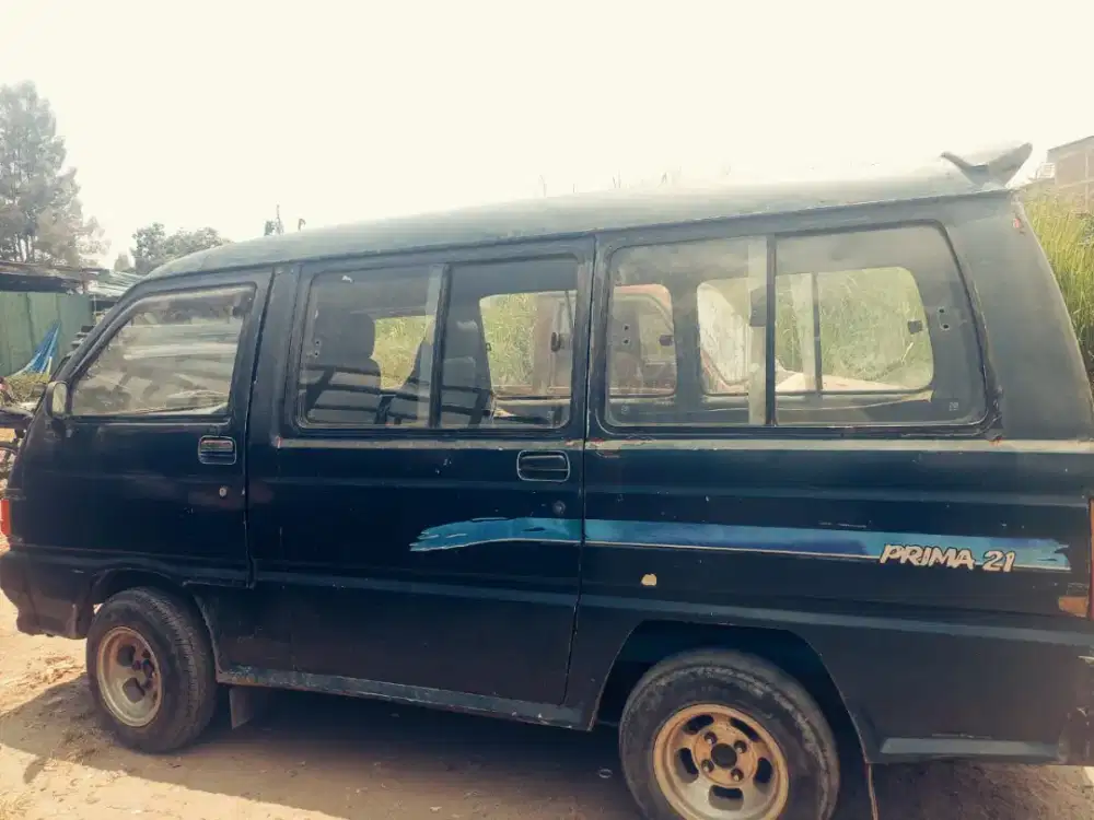 Zebra hijau1. 3