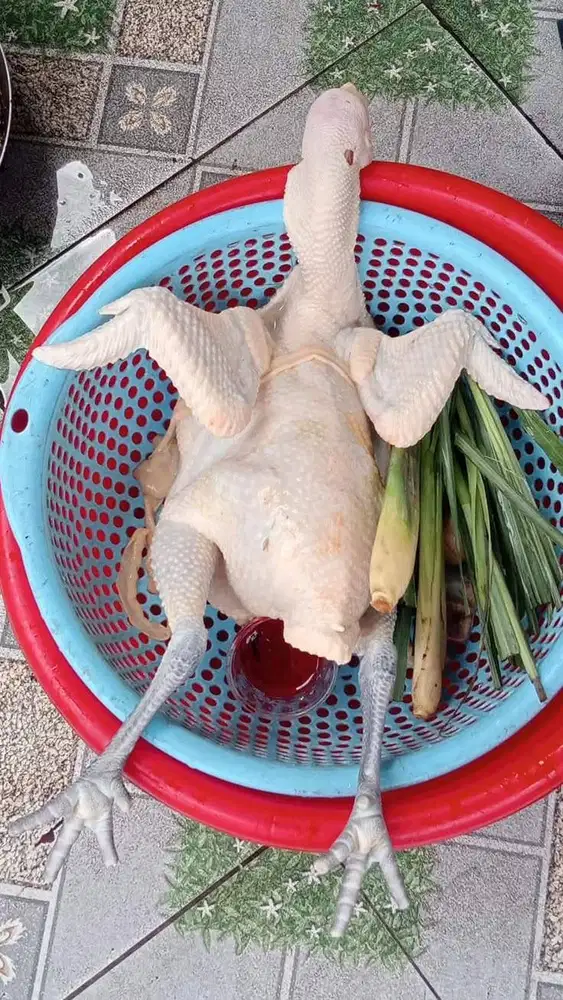 Daging Ayam Kampung KUB