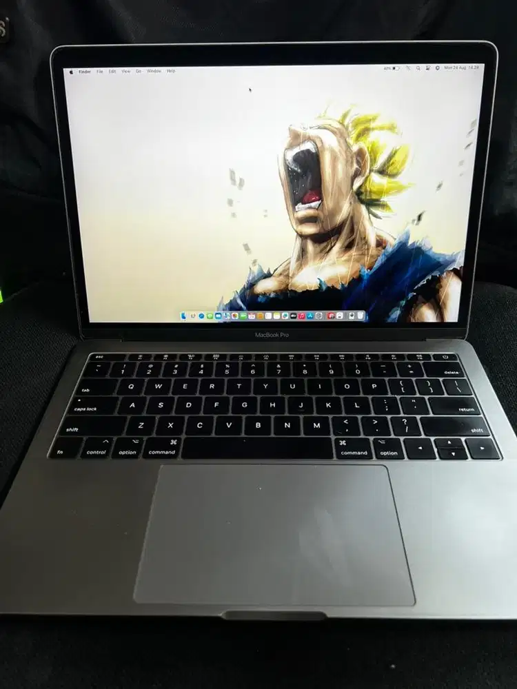 Mavbook Pro 2017 ram 16Gb ssd 256Gb