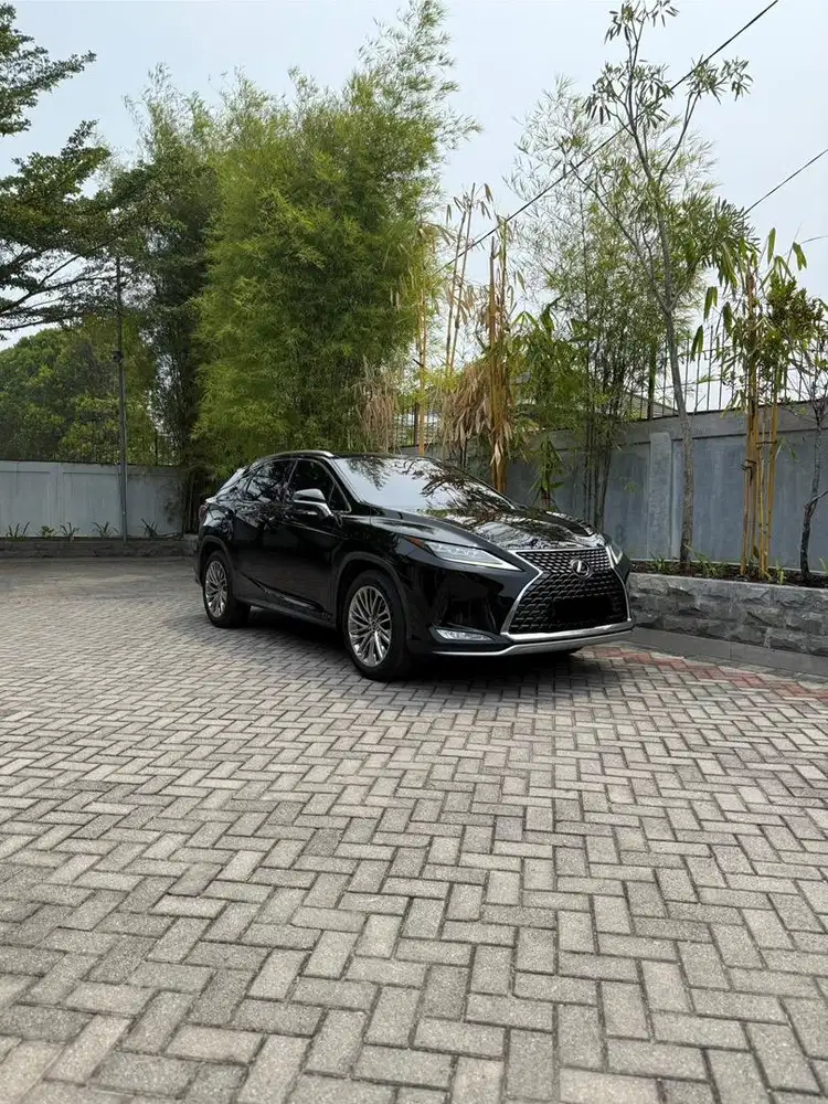 LEXUS RX300 2021
