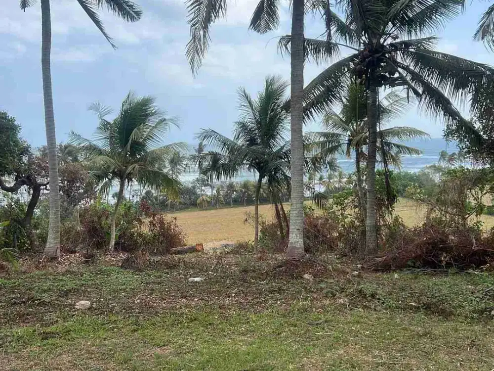 jual tanah murah dekat balean beach hanya 100.mtr dri pantai.luaa 20,5 are hrga global 6,1 m