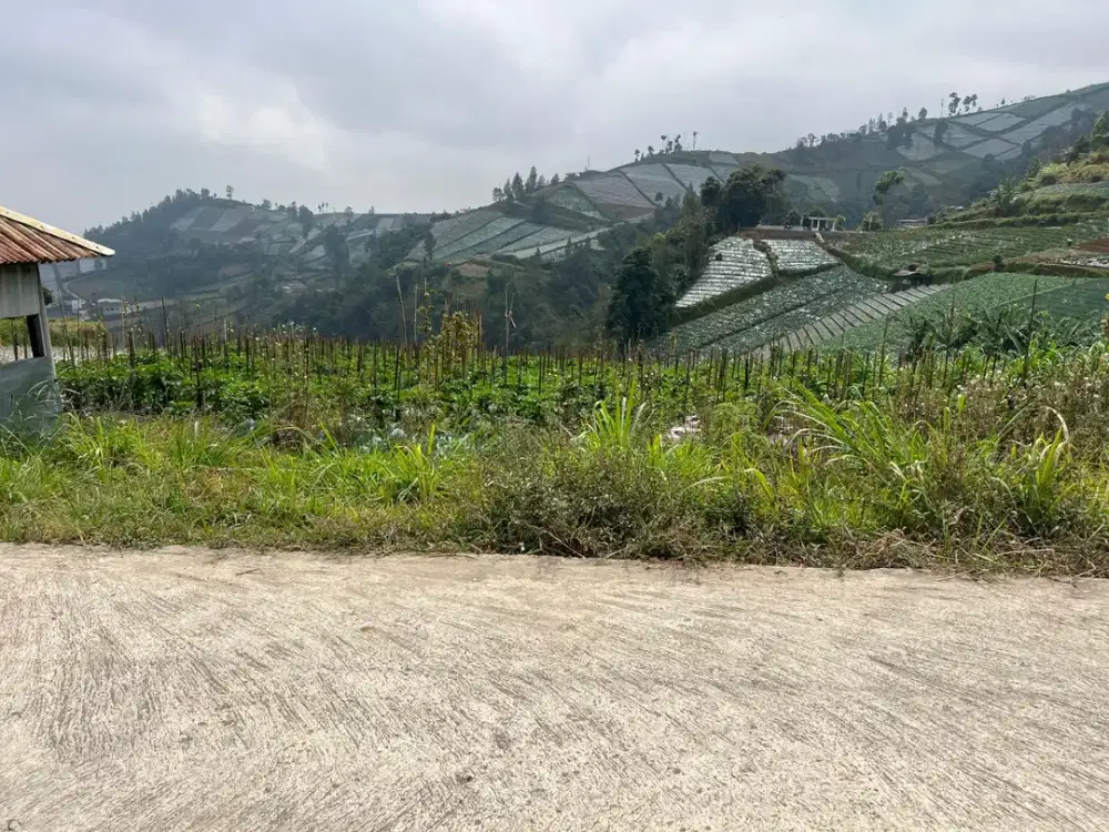 Tanah 1500m² Kawasan Wisata Candi Cetho Karanganyar