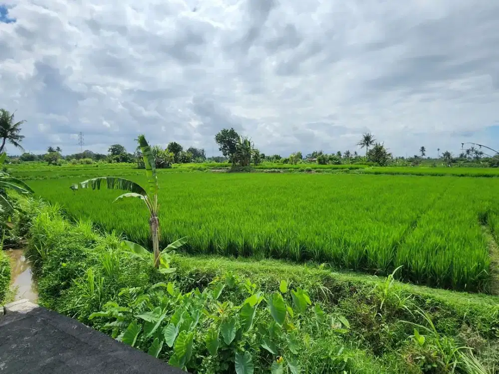 Dijual tanah kavling dengan view sawah berlokasi strategis di Pering, Blahbatuh, Gianyar
