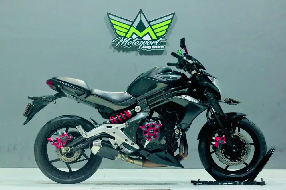 Kawasaki ER6n, ER6, Ninja 650, Z650, KTM 390,