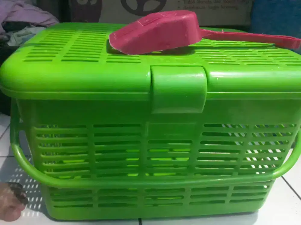 Kebutuhan kucing