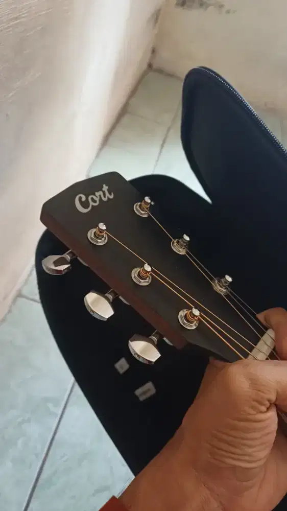Cort gitar mulu