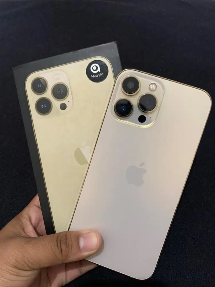 iPhone 13 Pro Max 256GB