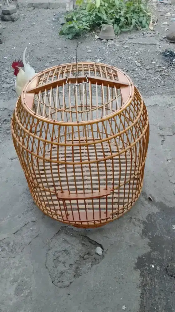 Kurungan ayam jago bekisar