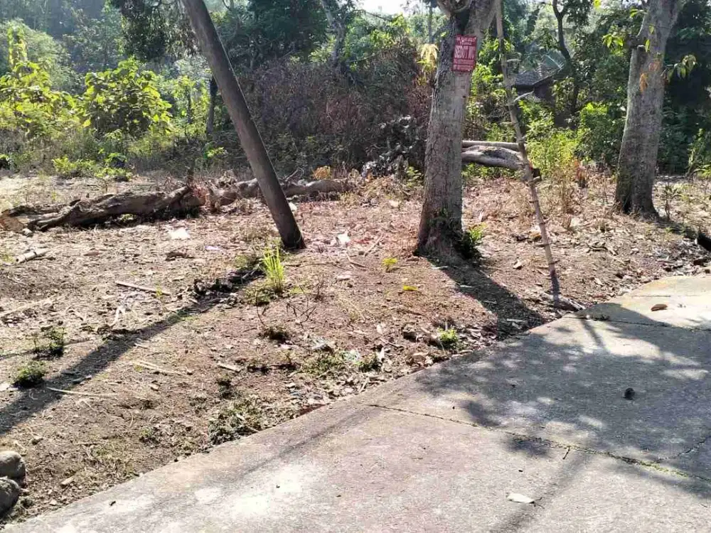 Tanah Murah Ideal untuk Perumahan  di Kertosari Geger Madiun
