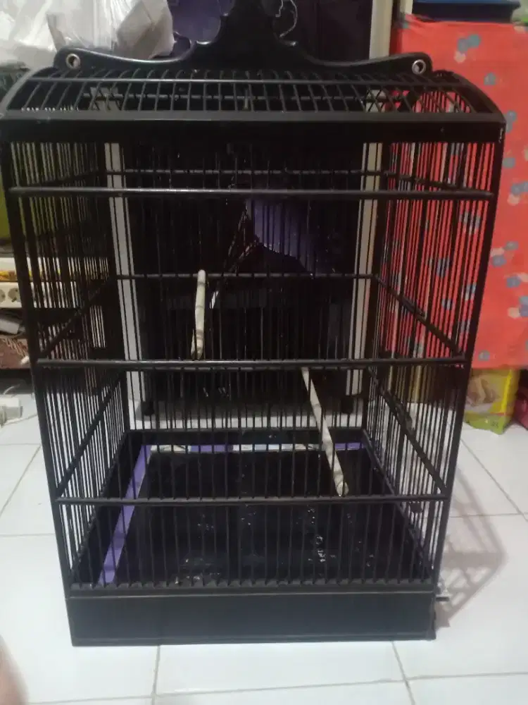 Di jual sangkar ukuran 4x45