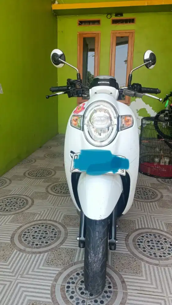 Honda Scoopy Warna Hitam Putih