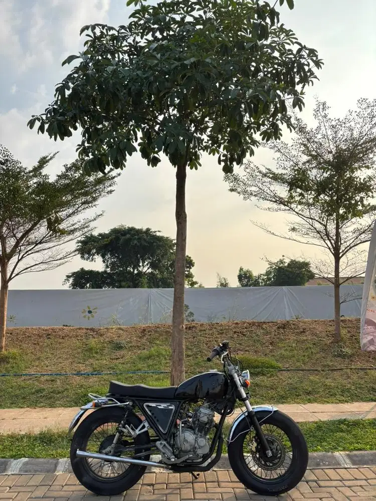 Custom British Style Scorpio 225