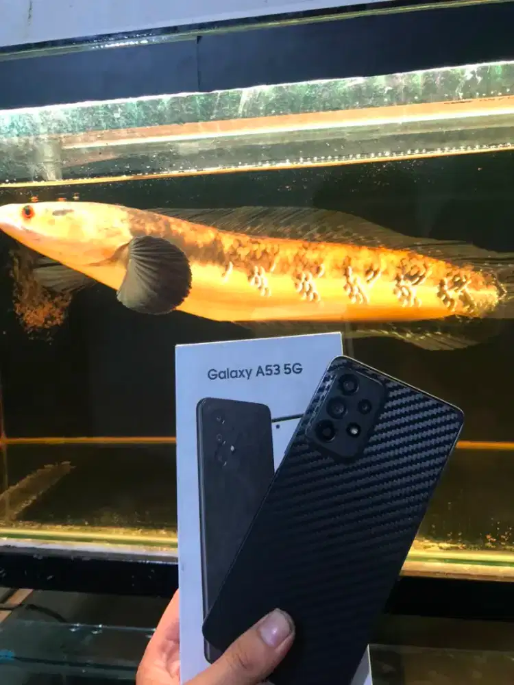 Samsung Galaxy A53 5G 8+8/256 Fullset