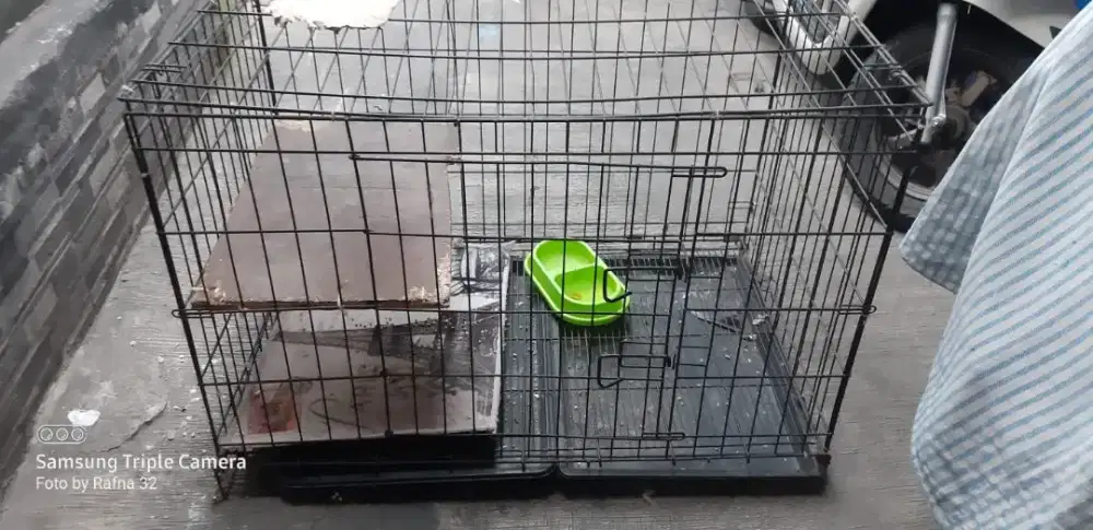 Kandang kucing jumbo