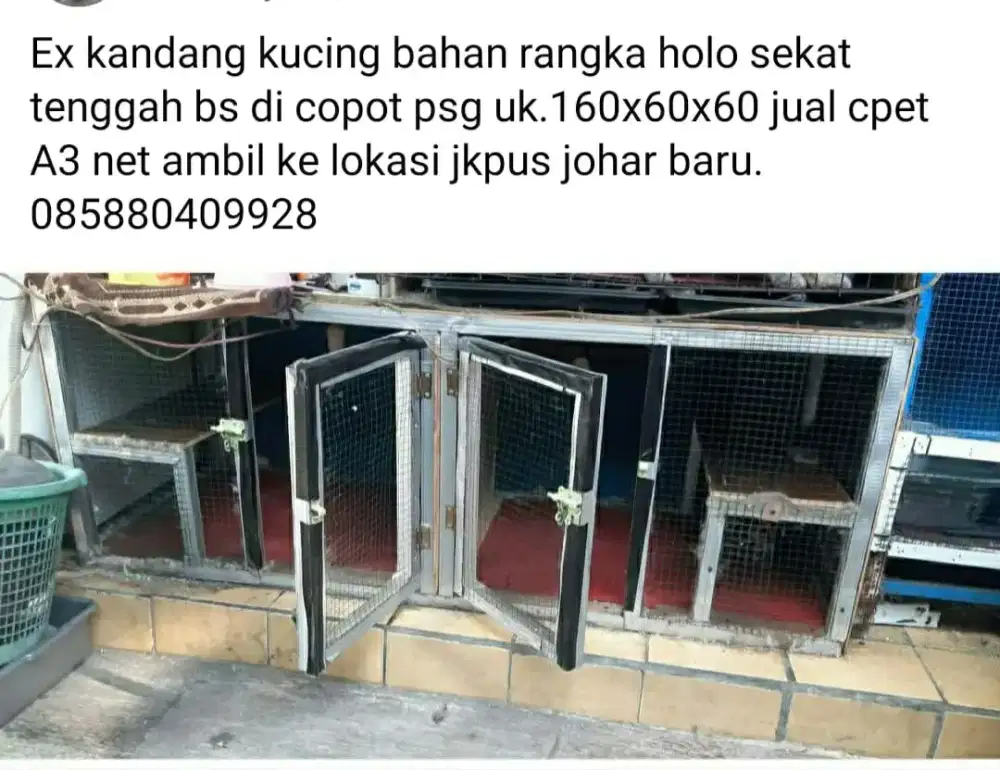 Kandang kucing jumbo